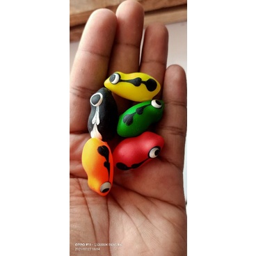 bodi / cangkang soft frog 2,7cm / 3cm / 4cm
