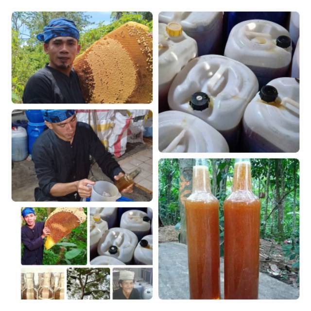 

Madu Hutan Baduy 30kg