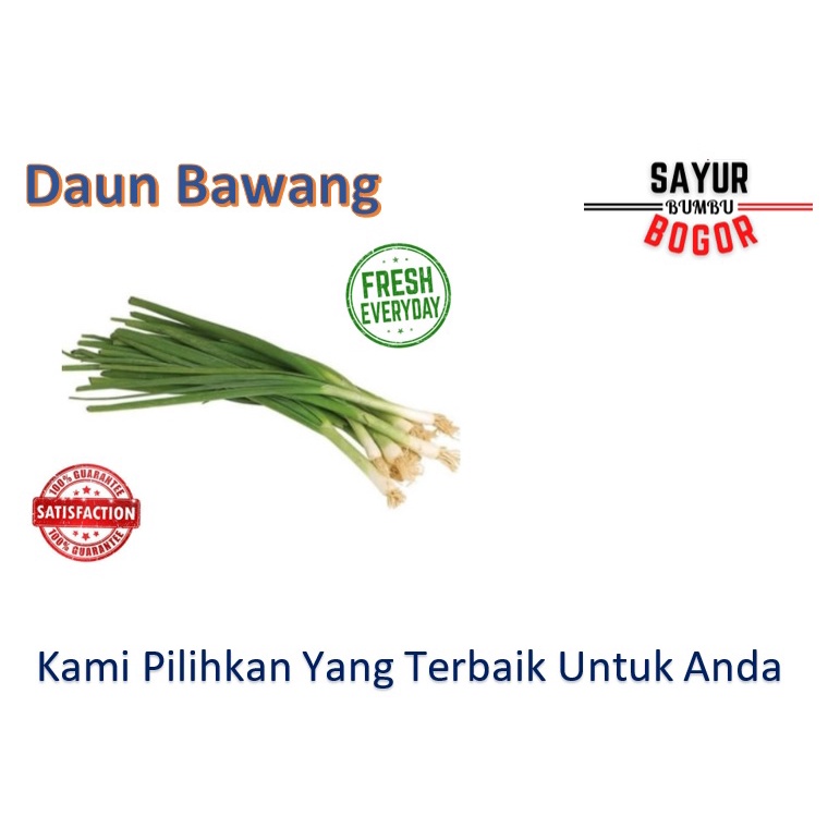 

Daun Bawang / Bawang Daun / Daun Bawang Sop / Sayuran Segar
