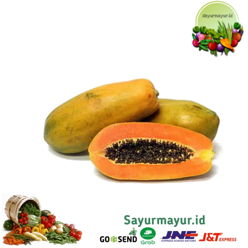 

BUAH PEPAYA MATANG UKURAN SEDANG / BESAR