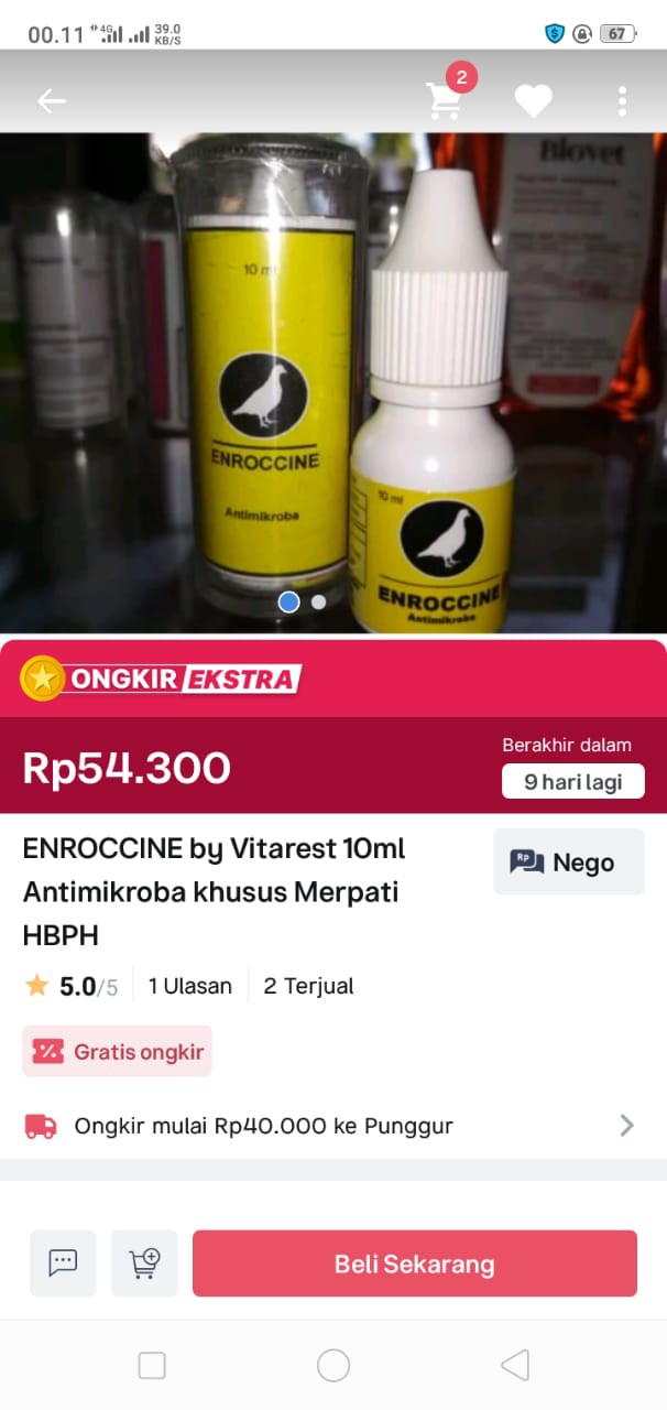 Enroccine By Vitarest 10ml - Obat Ngorok Berak Hijau/kapur Obat Pernapasan & Pencernaan Merpati