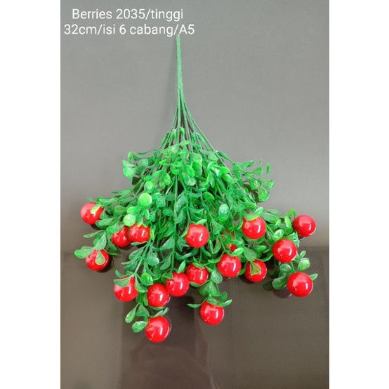 Tanaman Berries Plastik 2035