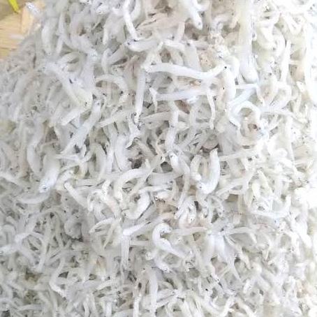 

[COD] ikan teri nasi medan 1kg termurah [COD]