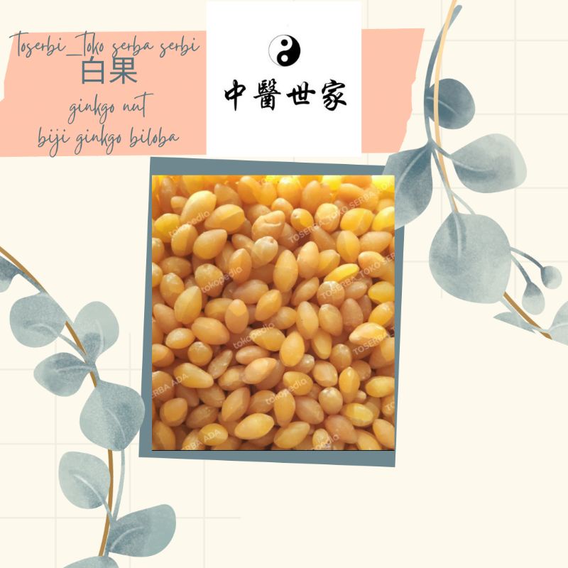 

100gr 白果 Bai Guo Rou Ginkgo Nut Ginkgo Biloba Ginko Pat Kuo Bai Guo