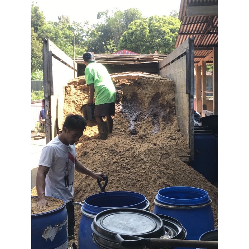 Ampas Bir Pakan Ternak