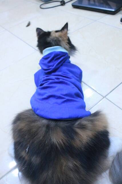 Kaos hoodie full biru list biru laut untuk kucing dan anjing size S M L XL