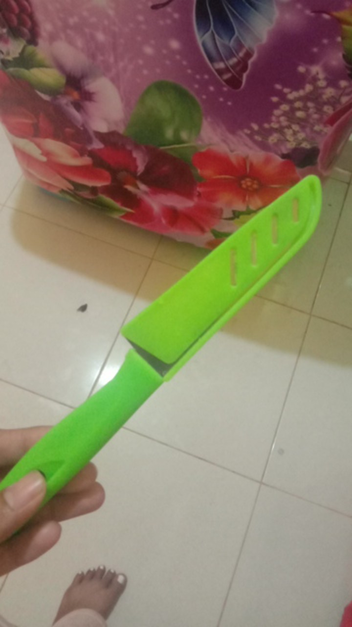 Pisau Buah/pisai Sayur/pisau Sarung