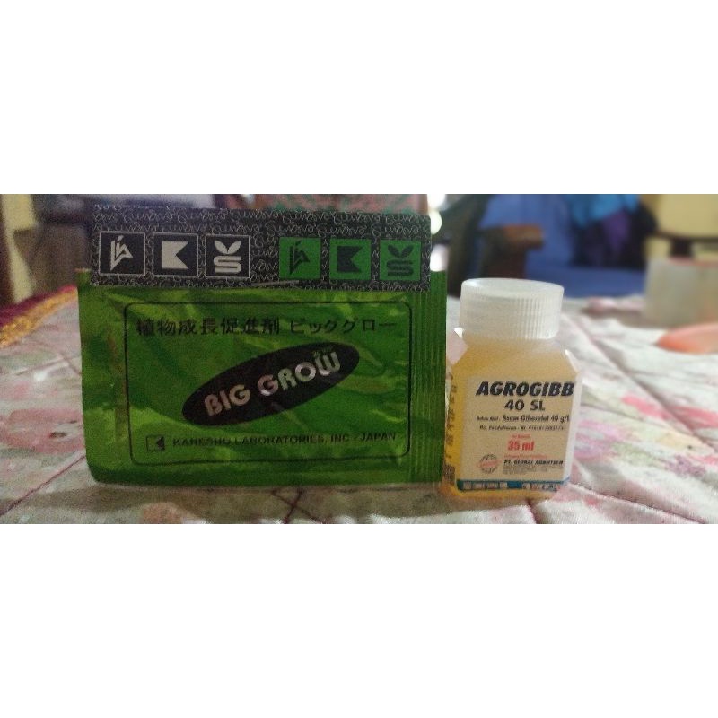 paket Bigrow biggrow big grow plus agrogibb paket premium ga3 super