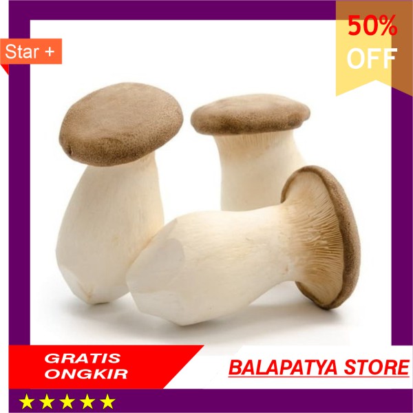 

TERMURAH King Oyster Mushroom 200 Gram Pack