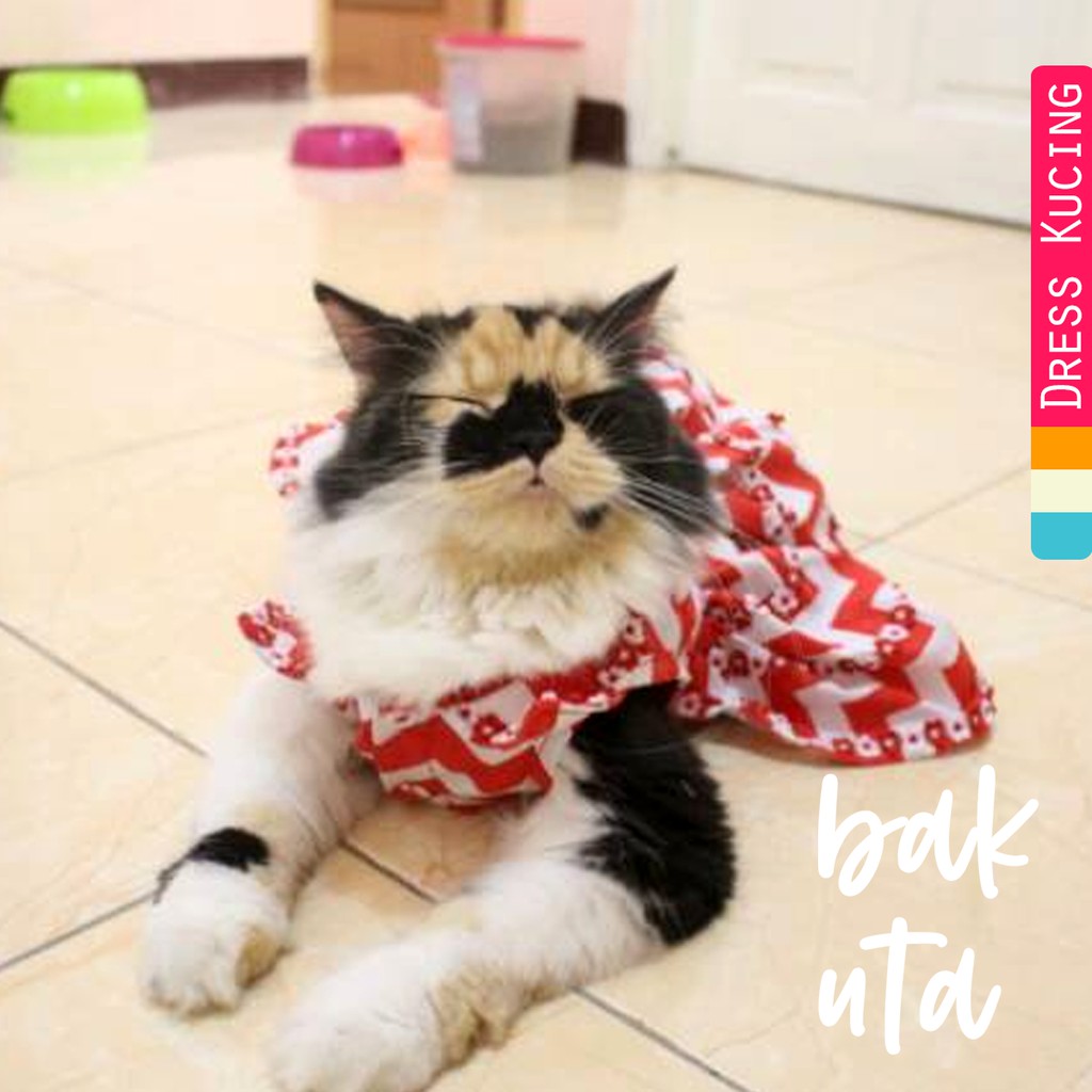 Simple dress motif zig zag untuk kucing dan anjing / baju kucing / dress kucing murah