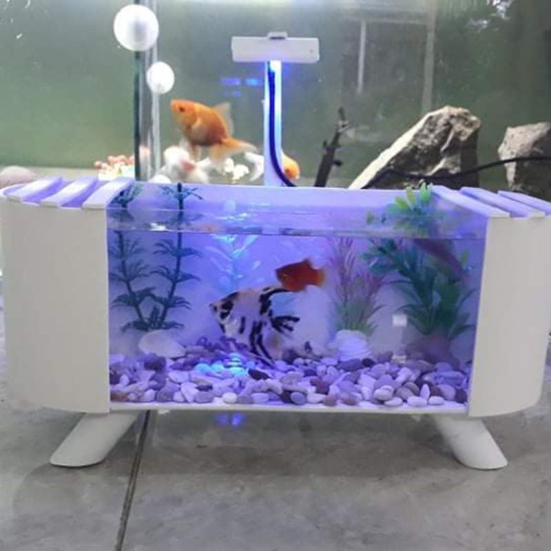 aquarium mini full aksesoris