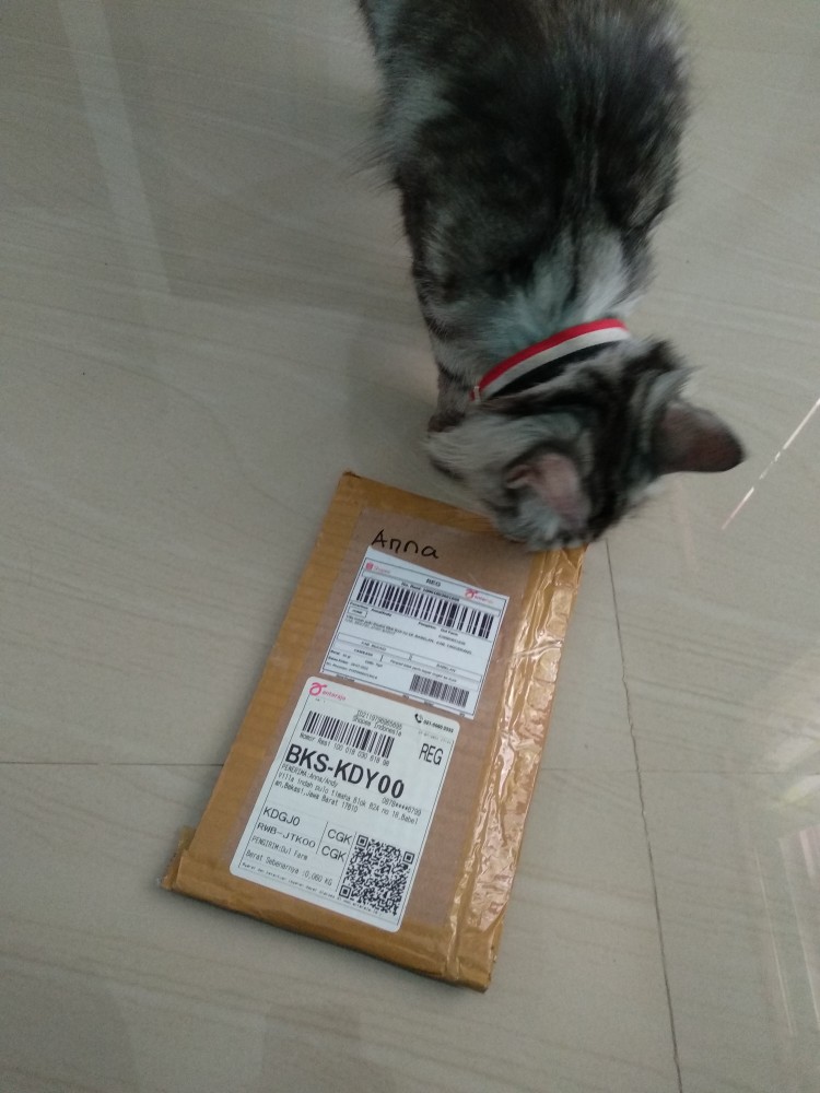 Polybag Ecer 10x10 15x15 20x20 25x25 30x30 40x40 18x18 Polibag Polibek