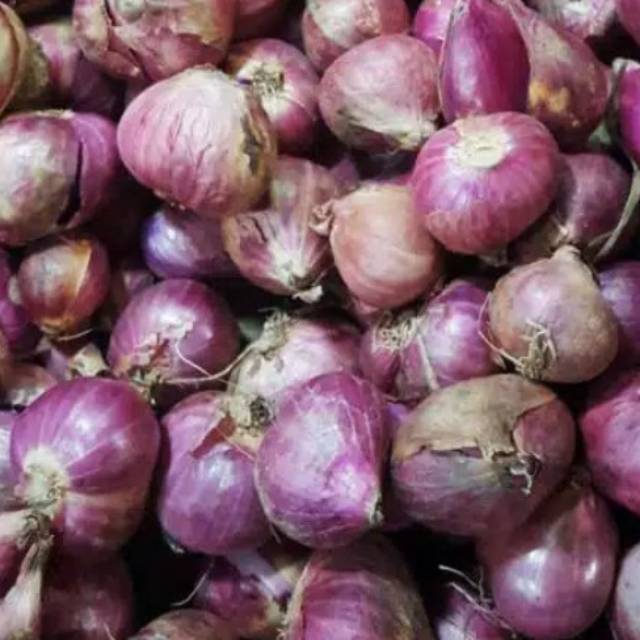 

Bawang merah ukuran M