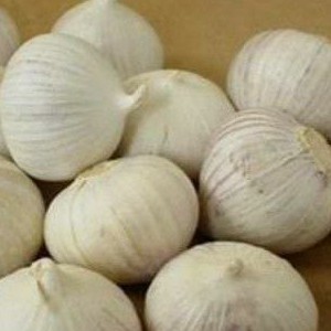 

bawang putih tunggal 250G
