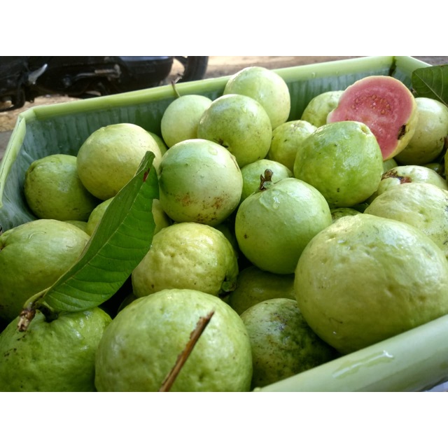 

jambu merah