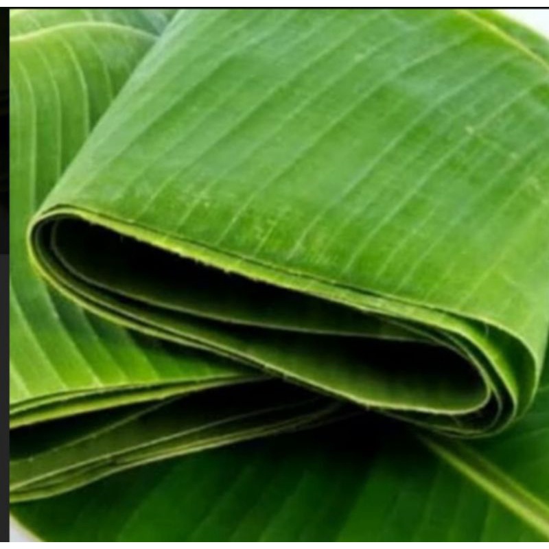 

DAUN PISANG LANSUNG DARI KEBUN FRESH ( 1 PACK - 10 LEMBAR )