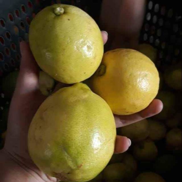 

Lemon lokal 1kg