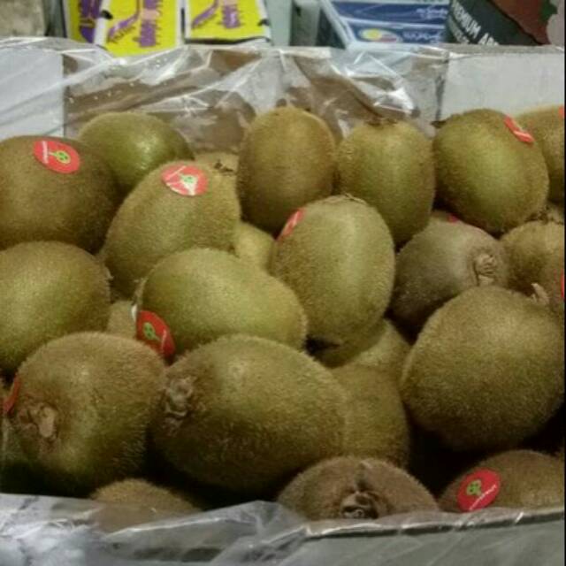 

Kiwi 1kg kiwi Segar kiloan