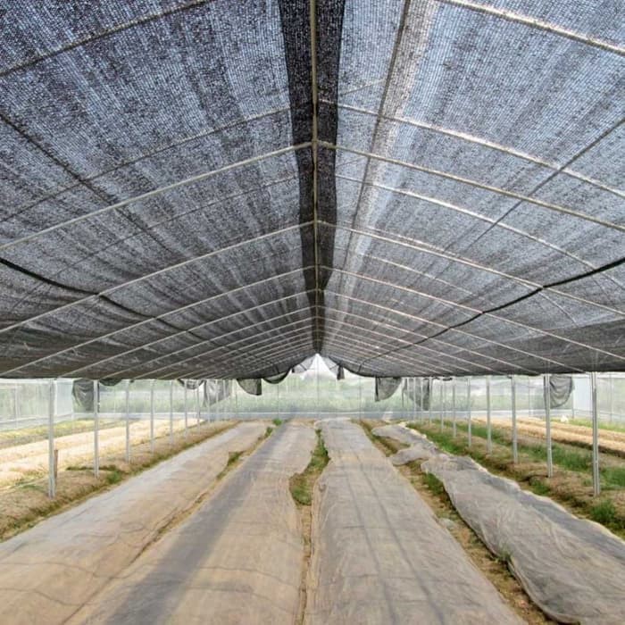 Paranet Lebar 2 Meter