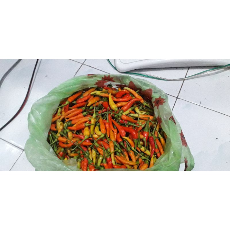 

CABE RAWIT 100GR CABAI
