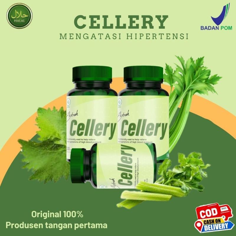 E- Cellery Kapsul Herbal khusus Darah tinggi dan Hipertensi