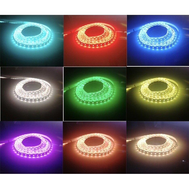 Lampu LED Strip 12 Volt - 24 Volt 5 Meter 12V 24V
