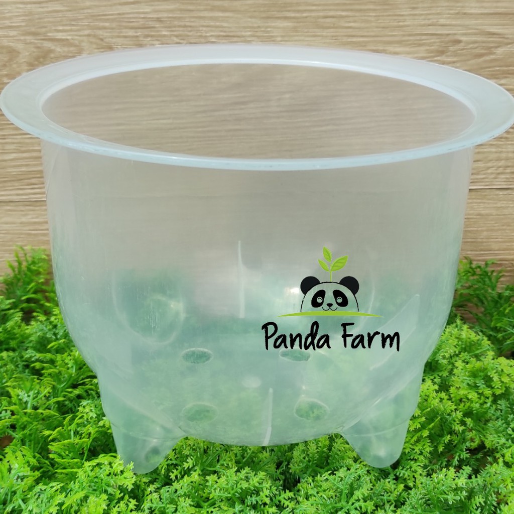 POT Bunga Panda NKT no 21 Tebal Berkualitas - Bening Transparan