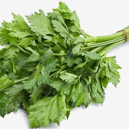 

Sayur Daun Saledri 1 Ikat Seledri Segar 100gr