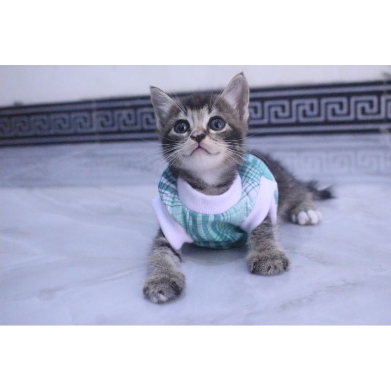 Kaos rumahan motif lucu #0211 untuk kucing dan anjing / baju kucing murah size S M L XL