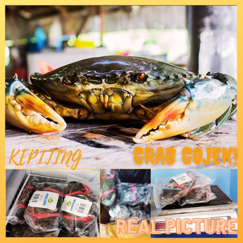 Ikan Kepiting Isi 1Kg Beku Segar Fresh Frozen Food Kiloan Murah Depok Bogor Jakarta Seafood Makanan 