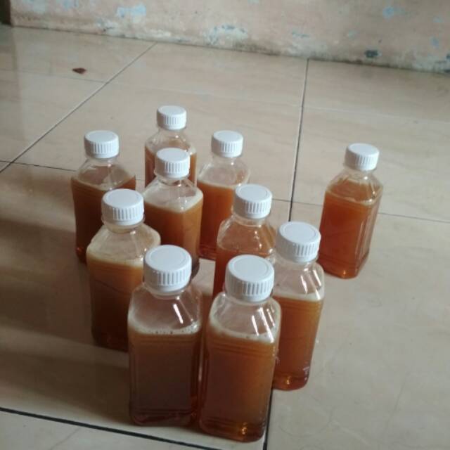 

Madu murni 100 %