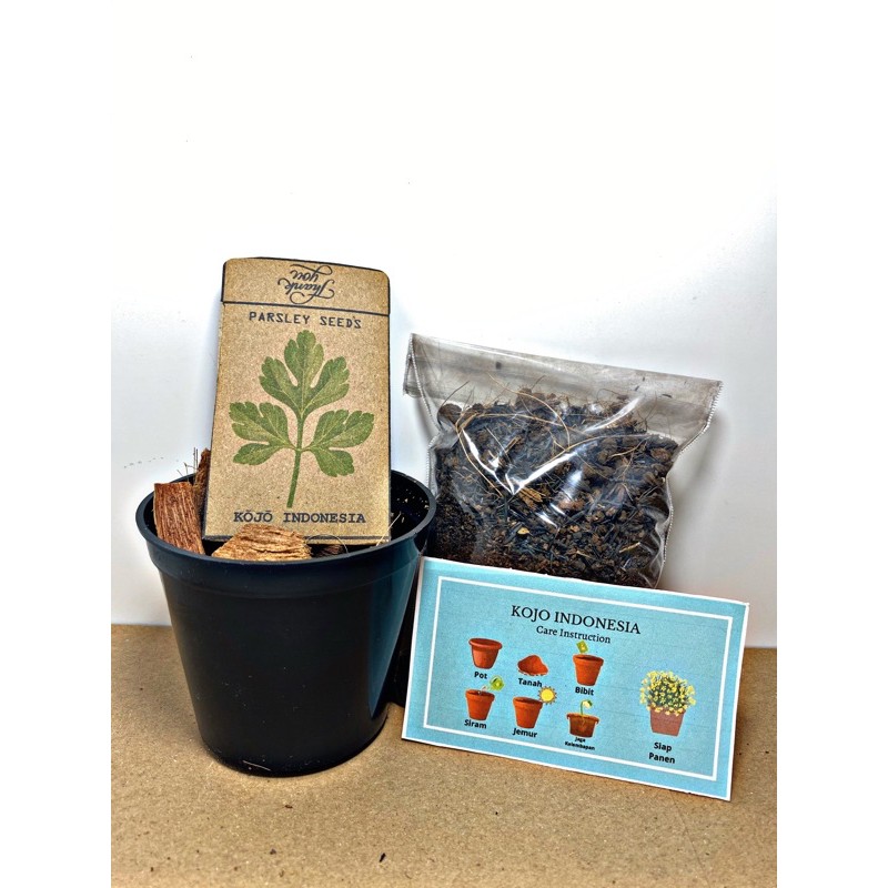 Jual Parsley Grow Kit ( Paket Siap Tanam Parsley ) Indonesia