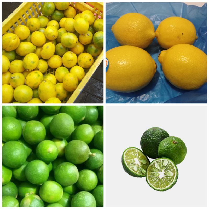 

[Sayur Segar Semarang] Jeruk limau (jeruk sambel)/Jeruk nipis/lemon import/lemon lokal ECERAN