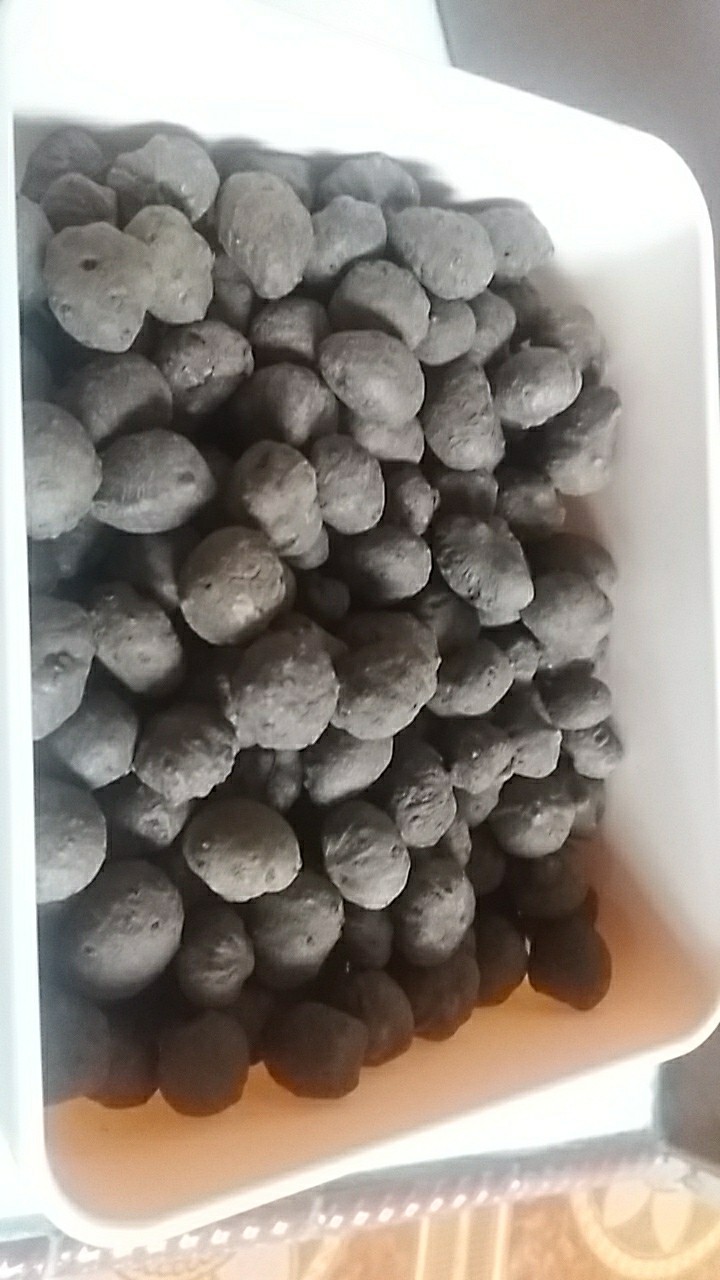 Katak Porang Mini Isi 300-400/kg