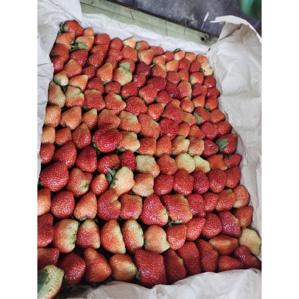 

strawbeymencir