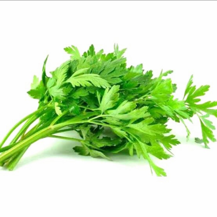 

daun seledri seger 100gram