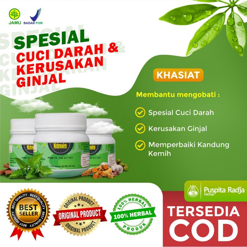 MICHROSOLEN obat herbal untuk kerusakan fungsi ginjal. Puspita Radja