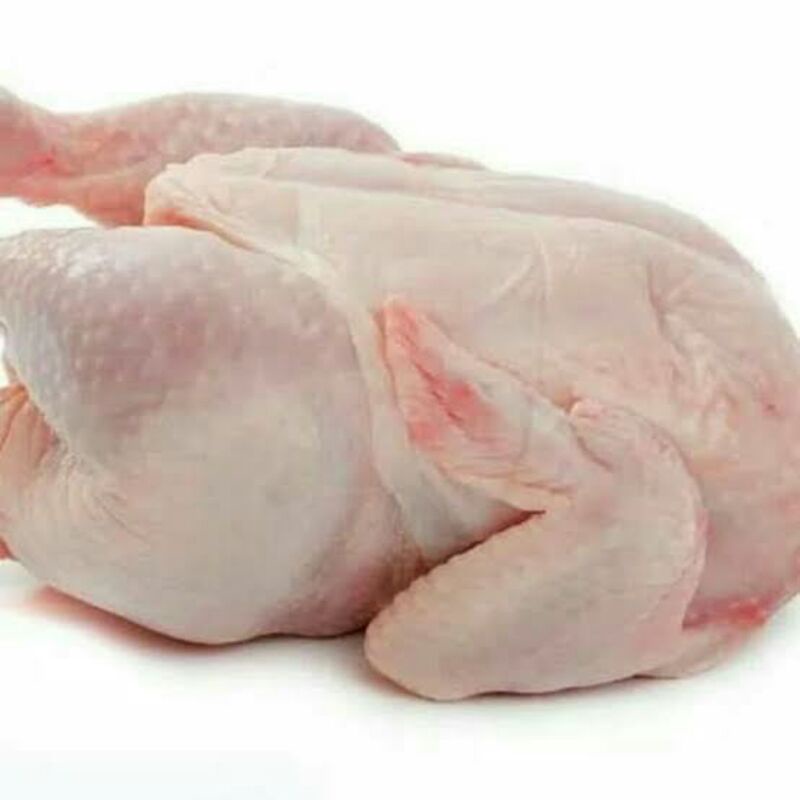 

Ayam Potong Boiler 1 kg