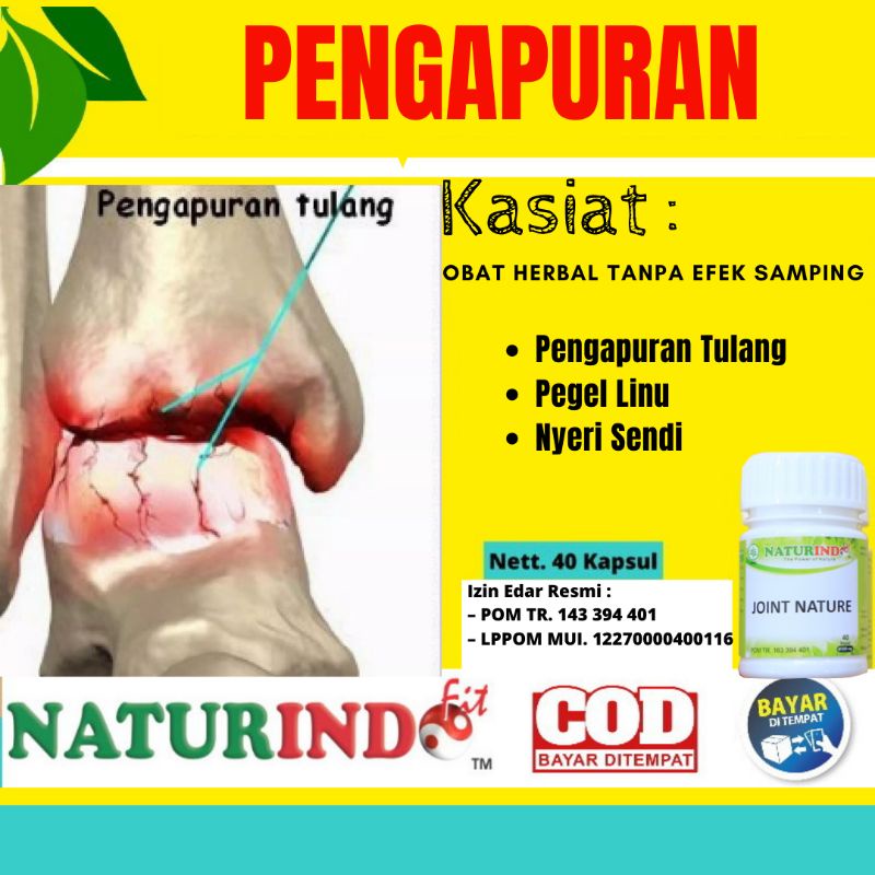 Obat Pengapuran Tulang Ampuh Nyeri Sendi Pegel Linu Osteoporosis