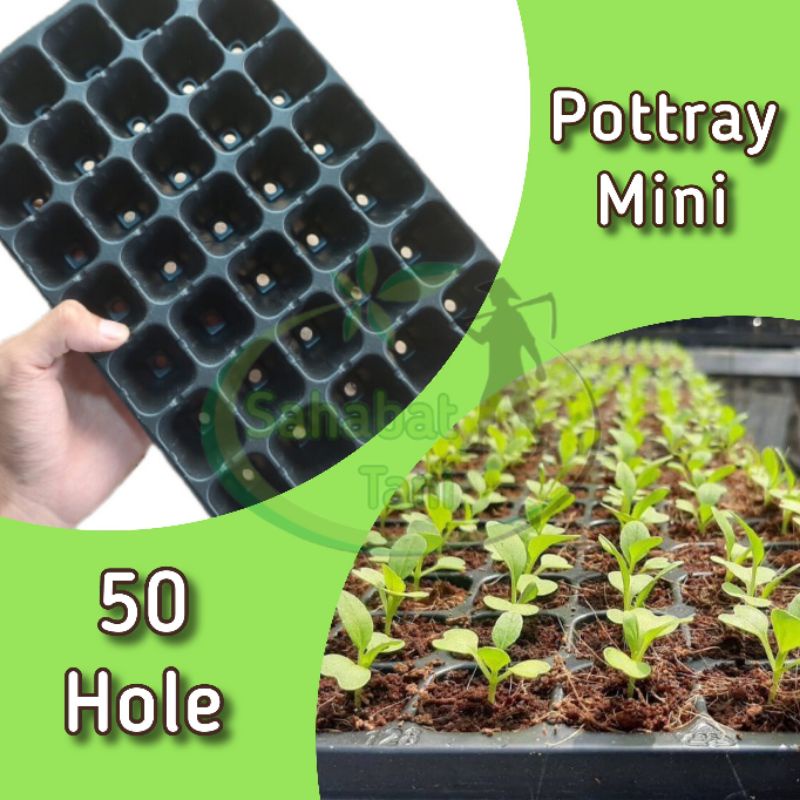 Pot tray mini_tray semai_50 hole