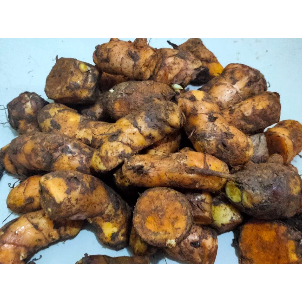 

Temulawak Segar 500gr