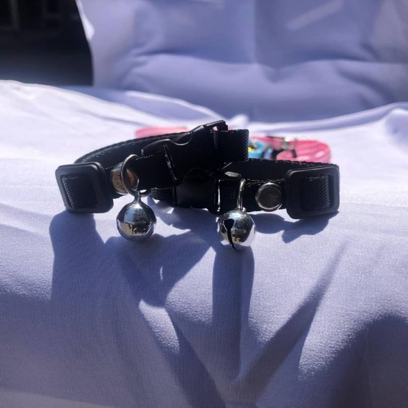 kalung kucing lonceng murah harga grosir