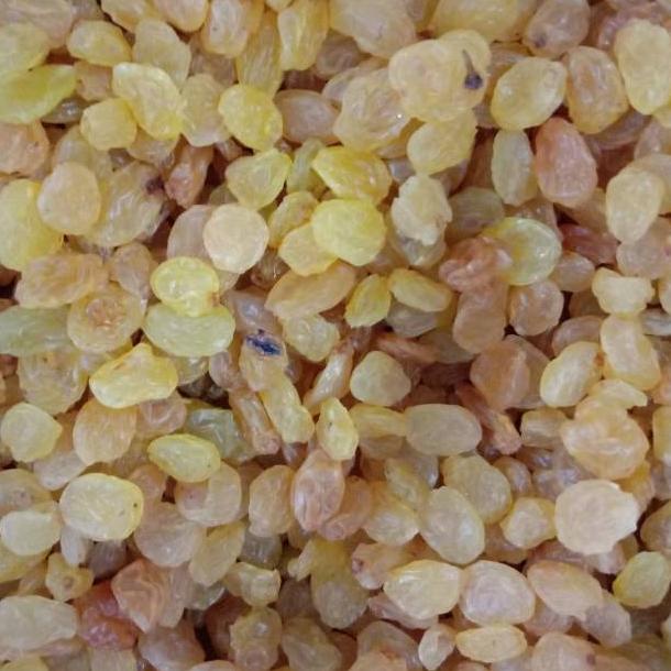 

Untuk Anda Buah kismis manis fresh golden raisins 1kg .,..,.,.,.