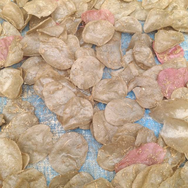 

Krupuk opak aci 500gram khas cirebon sudah ada bumbu nya yah bisa digoreng pake pasir n minyak