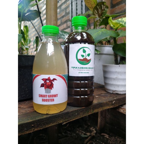 POC Pupuk organik cair,zpt zat pengatur tumbuh yang terbuat dari air jamur jakaba, PSB bakteria foto