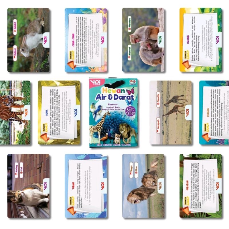 VIDI Flashcard / Flash card / Mainan Edukasi Kartu Pintar' Anak