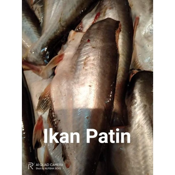 

ikann