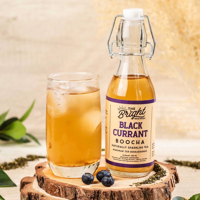 

Kombucha Blackcurrant 250 ML - Sparkling Tea Drink - Minuman Teh Fermentasi