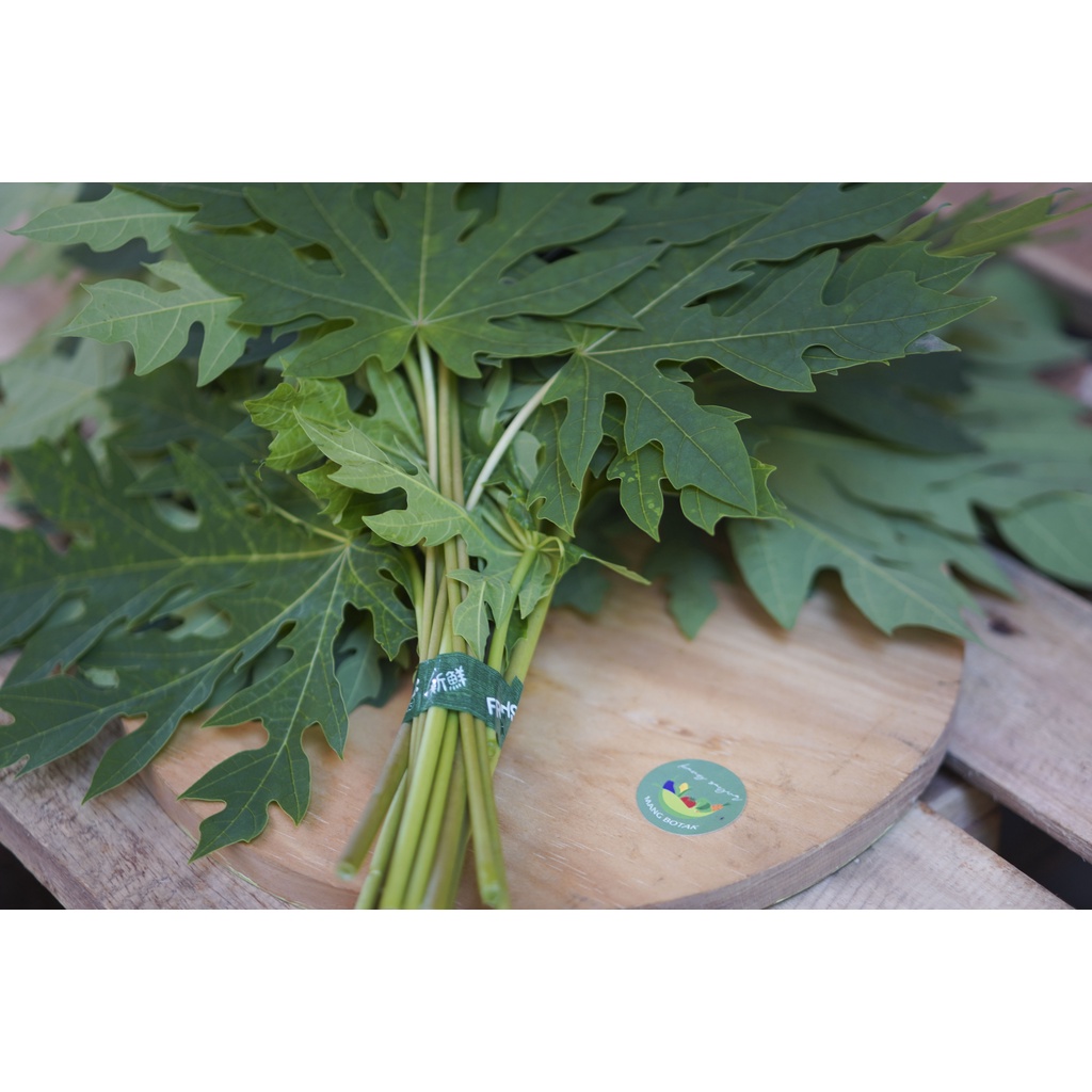 

Daun pepaya 1 ikat (100-200 gr)