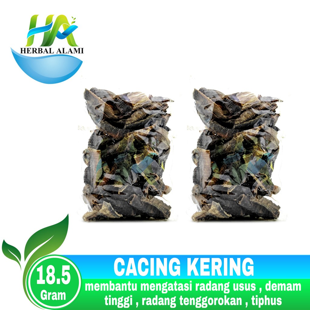 Cacing Tanah Kering Lumbricus Rubellus 18.5gr Asli - Obat typus Tipes